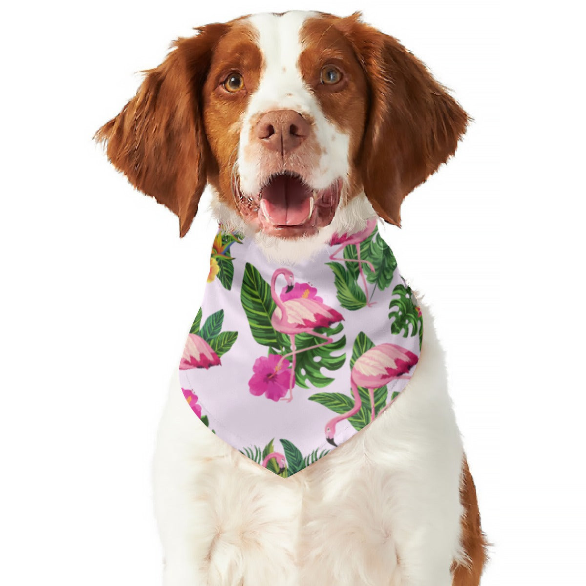 Flamingoing Along Pet's Scarf