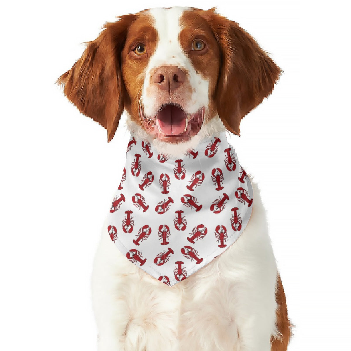 Lobstah Fun Pet's Scarf