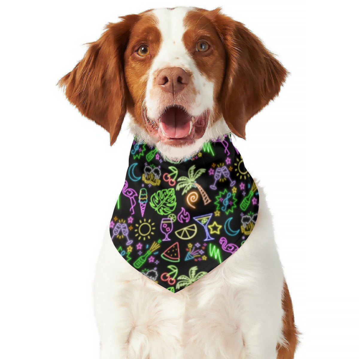 Neon Lights Pet's Scarf