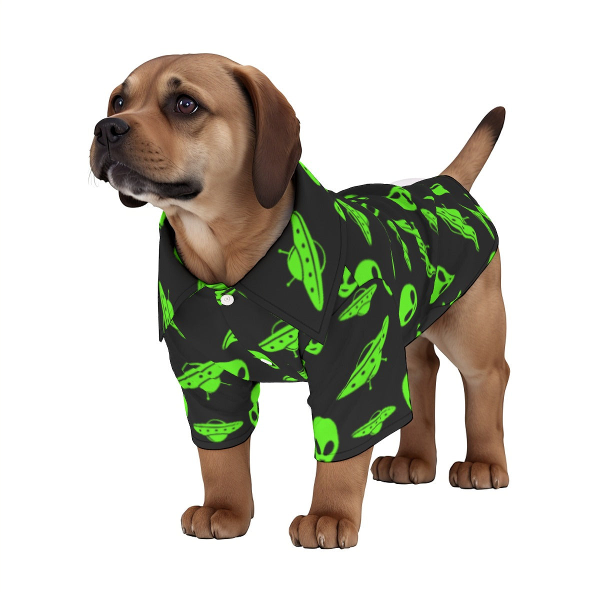 Far Out Pet‘s Hawaiian Shirt