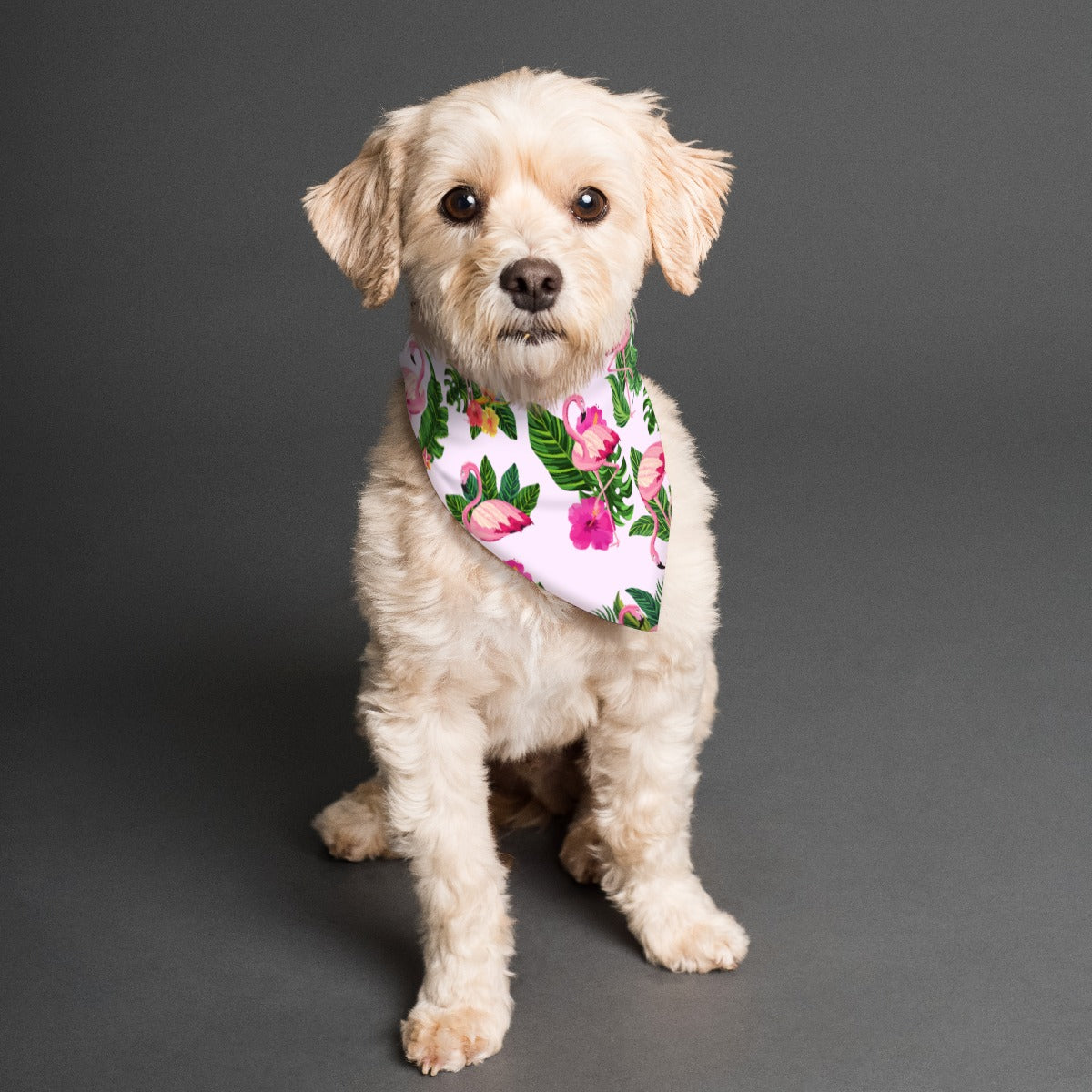 Flamingoing Along Pet's Scarf