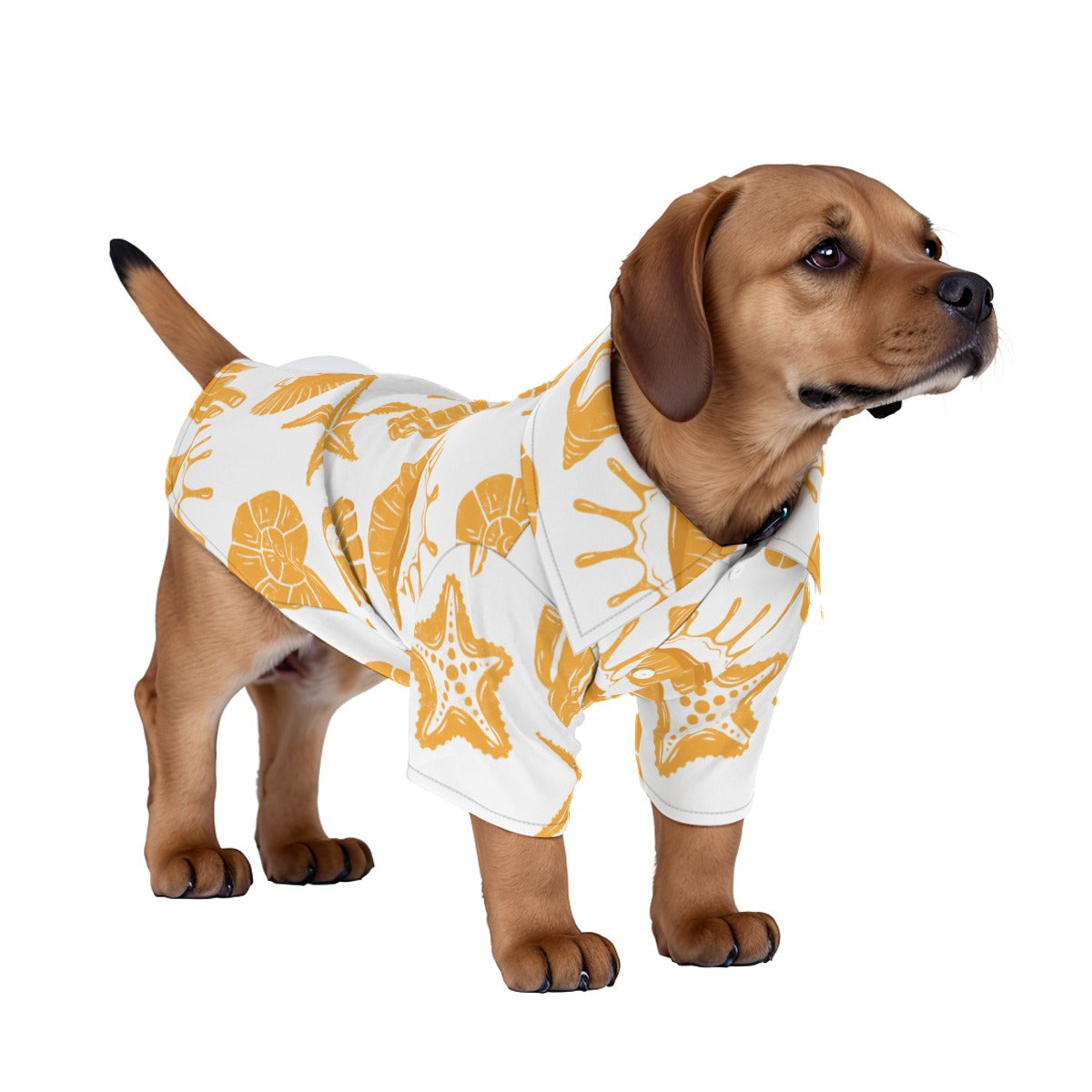Take a Shellfie Pet‘s Hawaiian Shirt