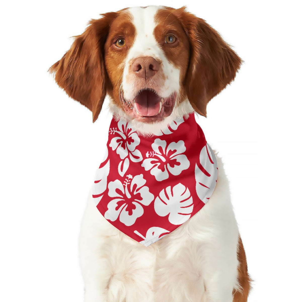 Hibiscus Honey Pet's Scarf