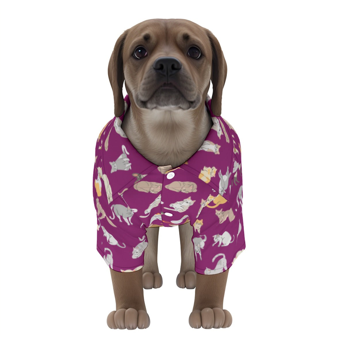 Caturday Pet‘s Hawaiian Shirt