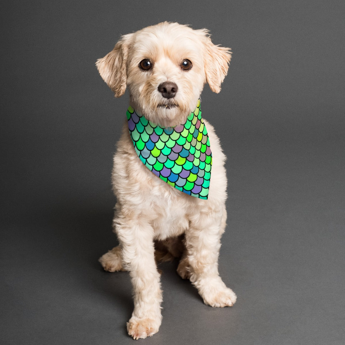 Crowd Mermers Pet's Scarf