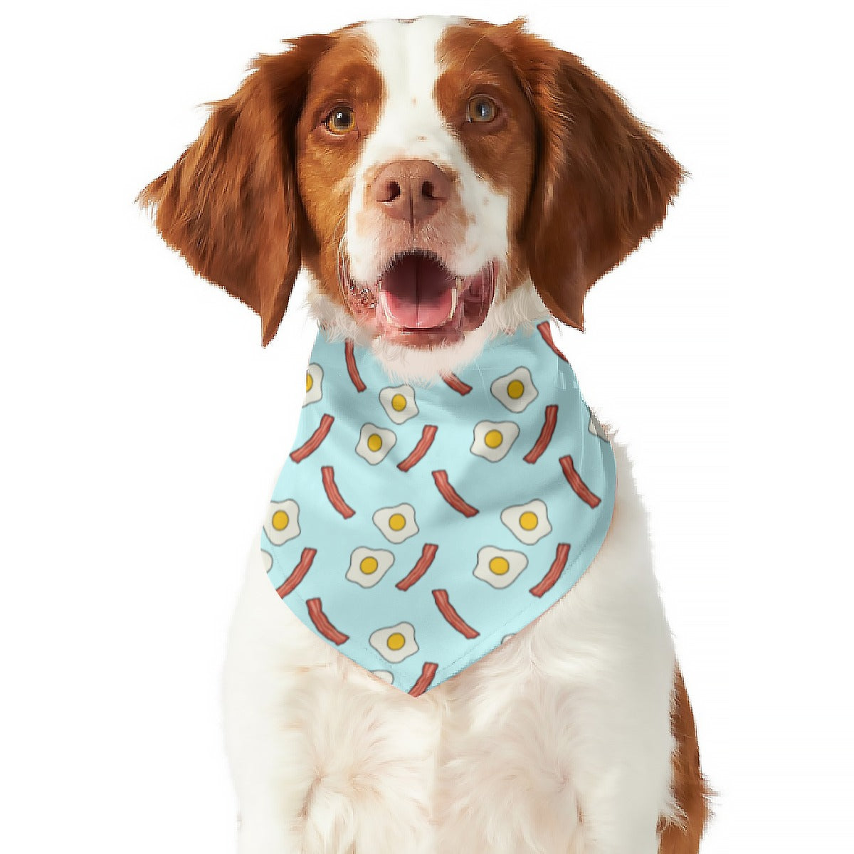 Brunch Bunch Pet's Scarf