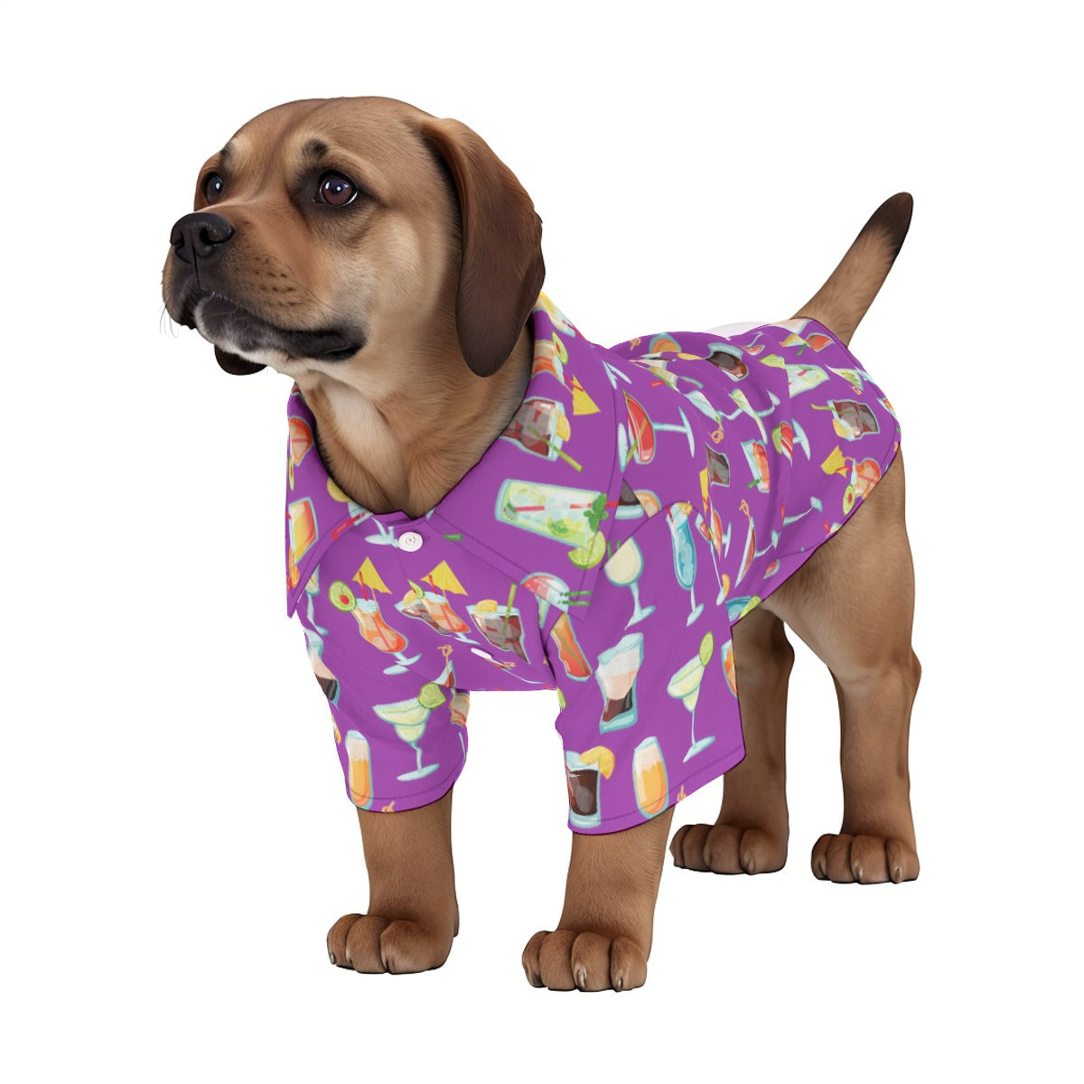 Cheers! Pet‘s Hawaiian Shirt