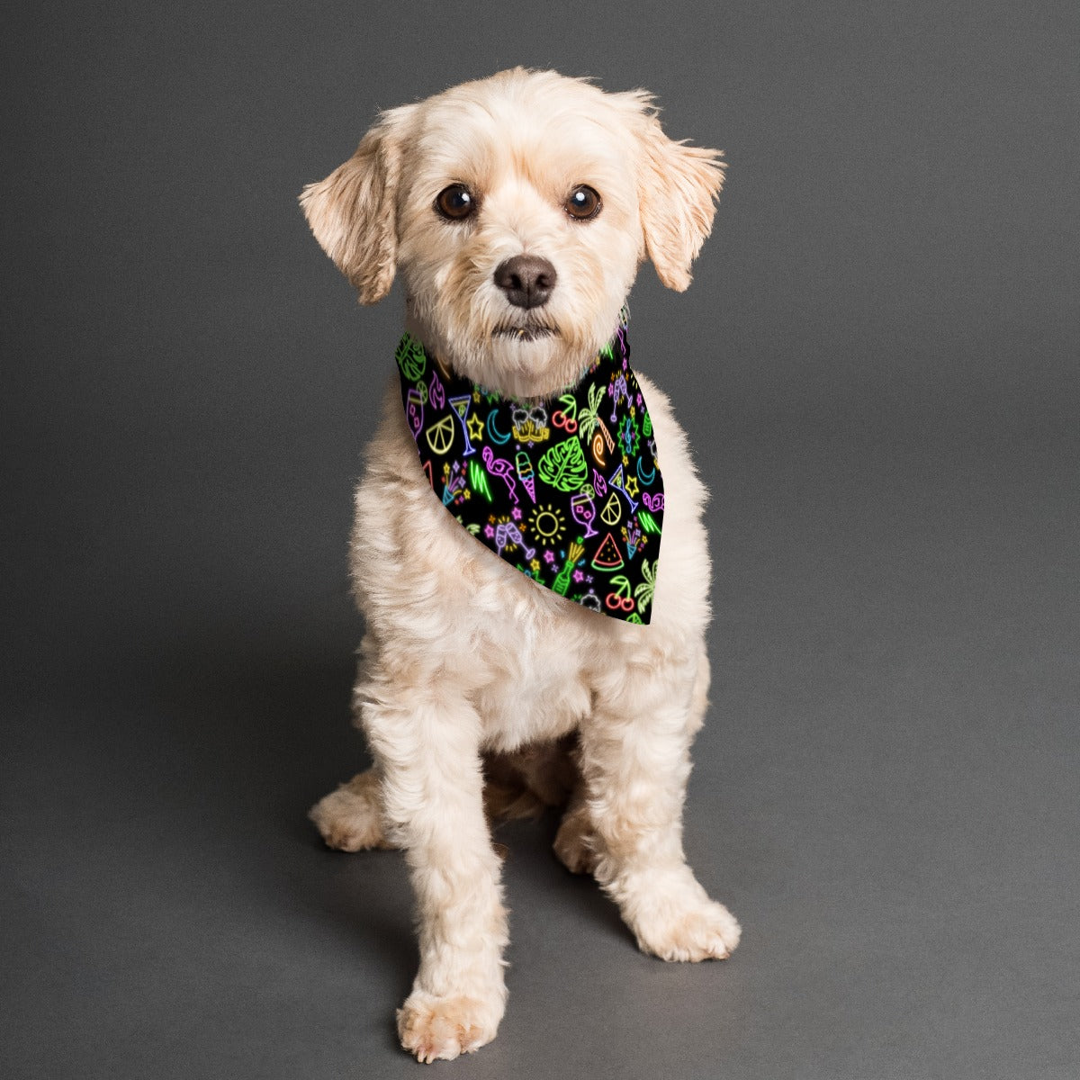 Neon Lights Pet's Scarf