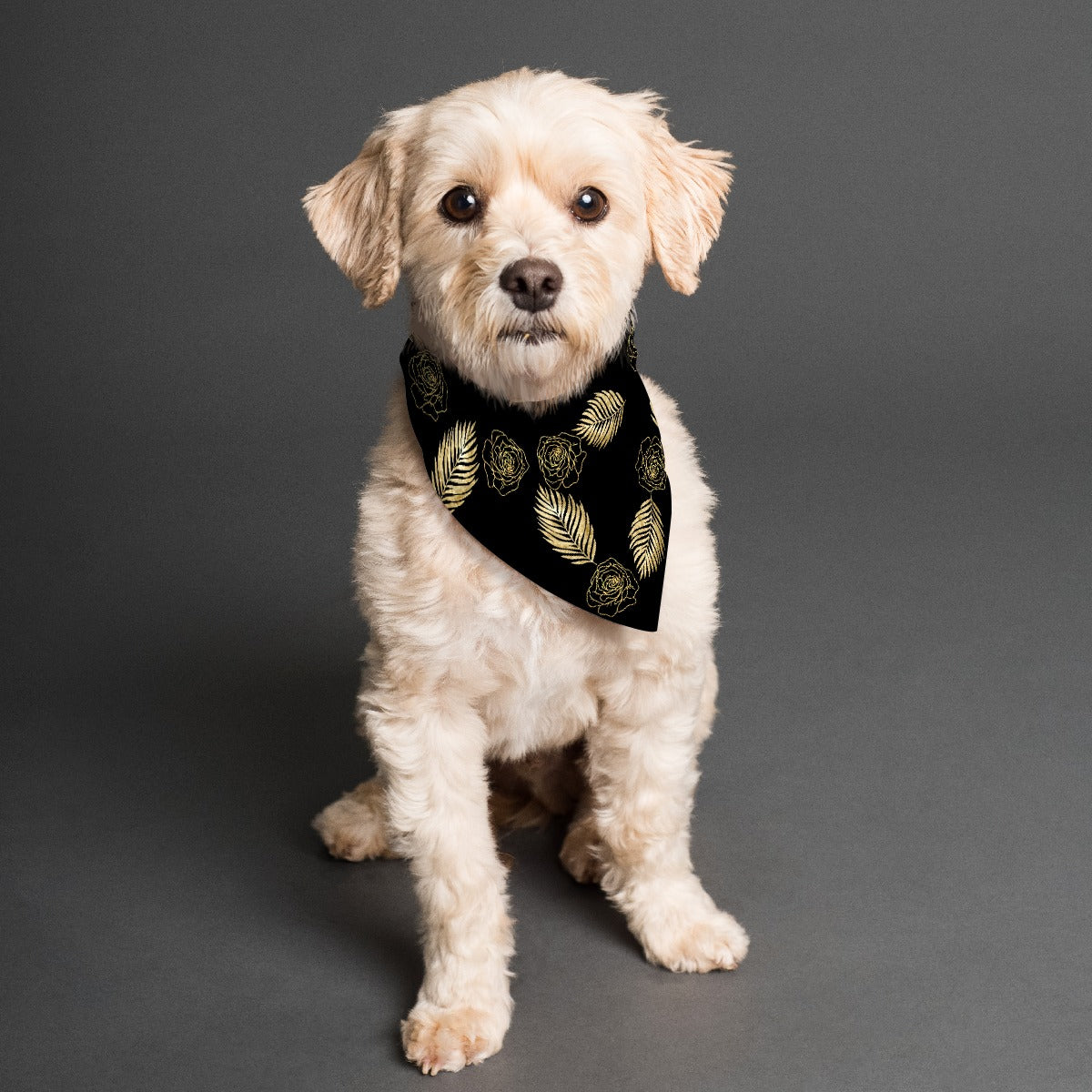 Gold Leaf Pet's Scarf