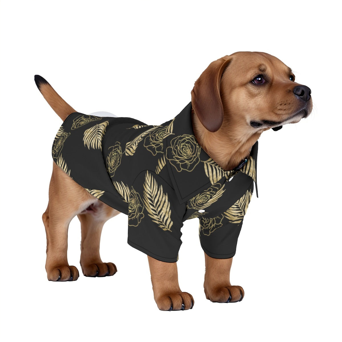 Gold Leaf Pet‘s Hawaiian Shirt