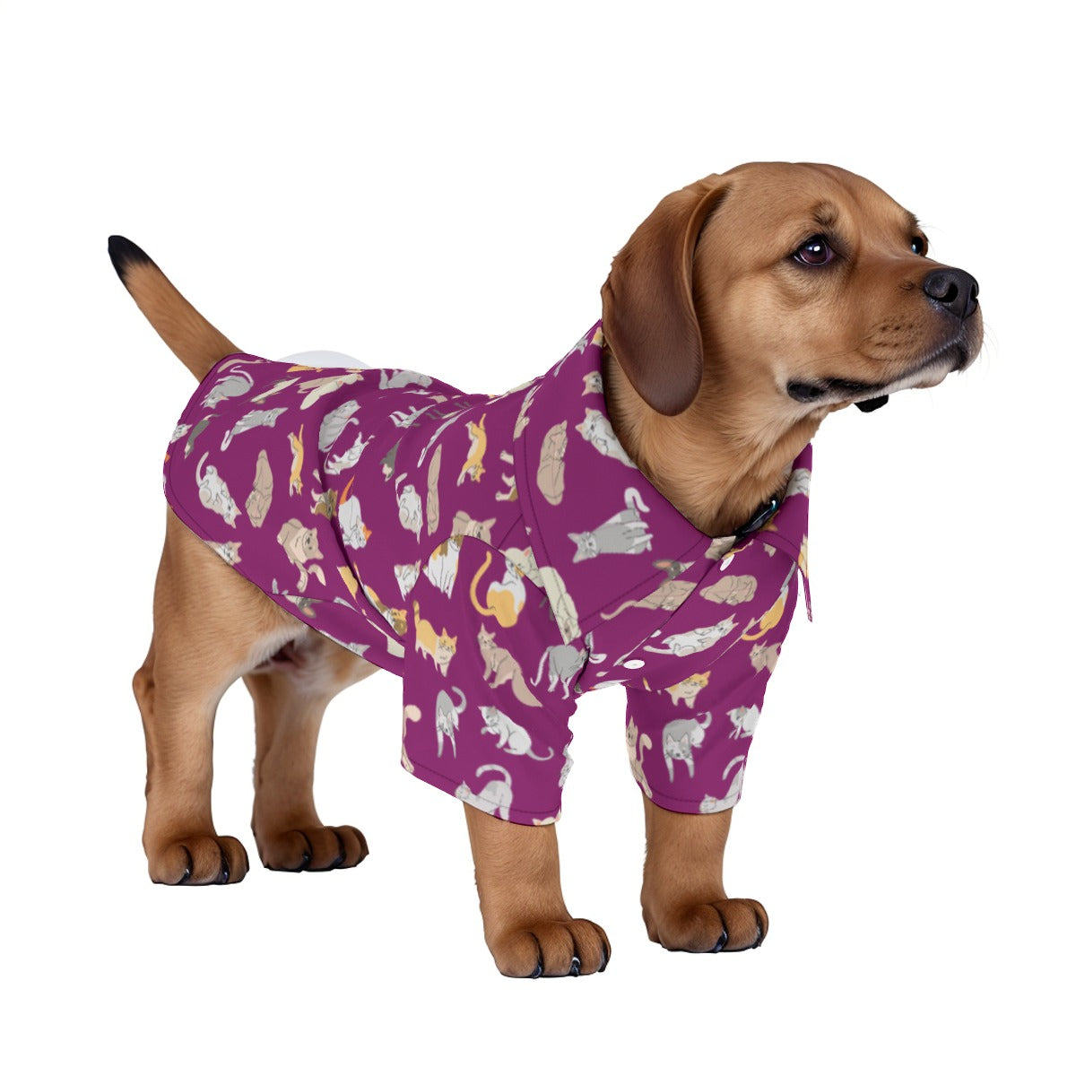 Caturday Pet‘s Hawaiian Shirt