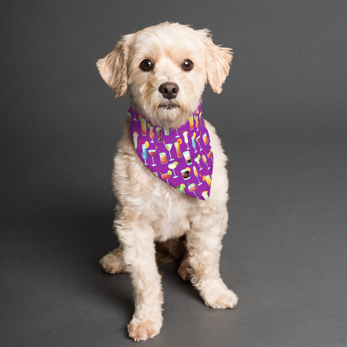 Cheers! Pet's Scarf