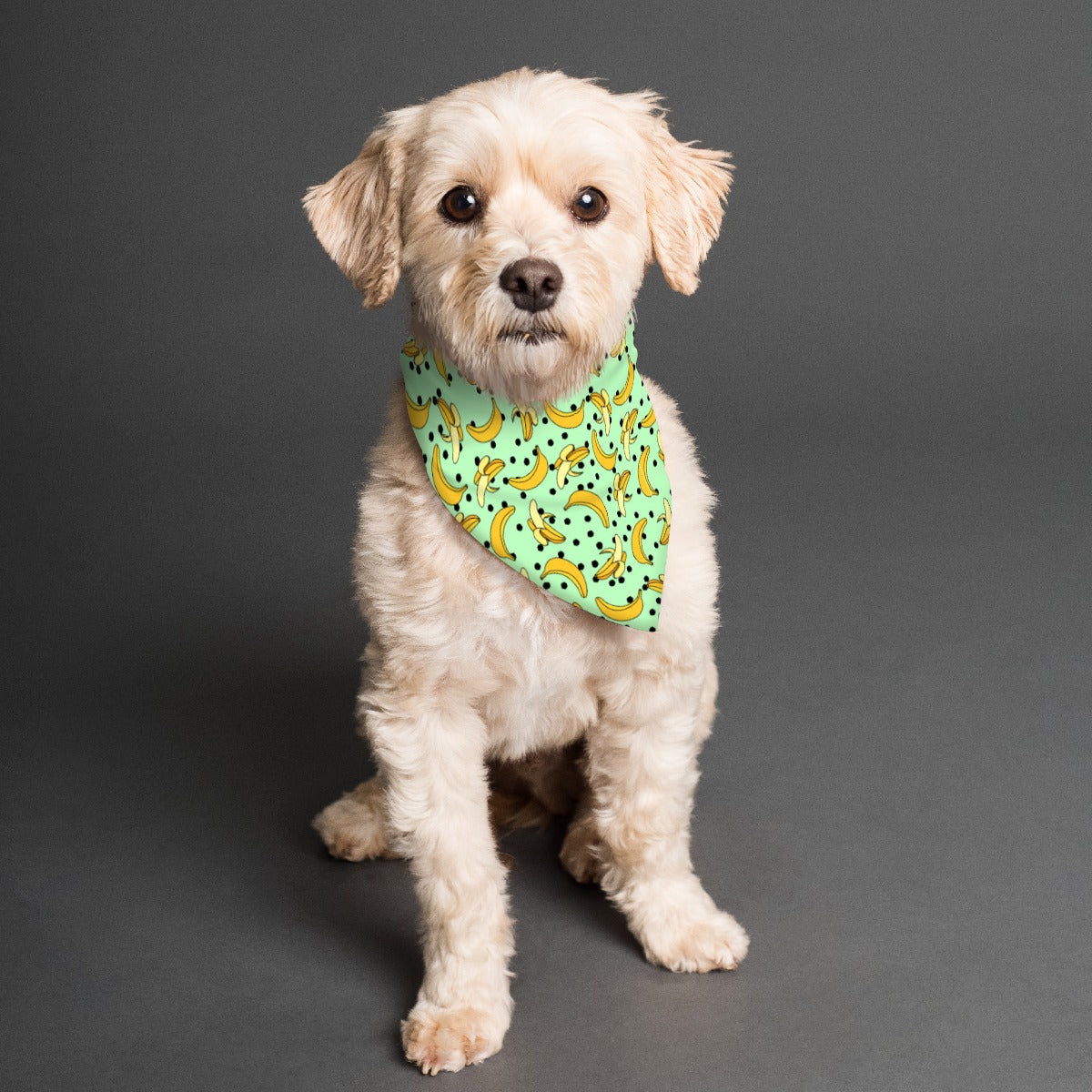 Go Bananas Pet's Scarf