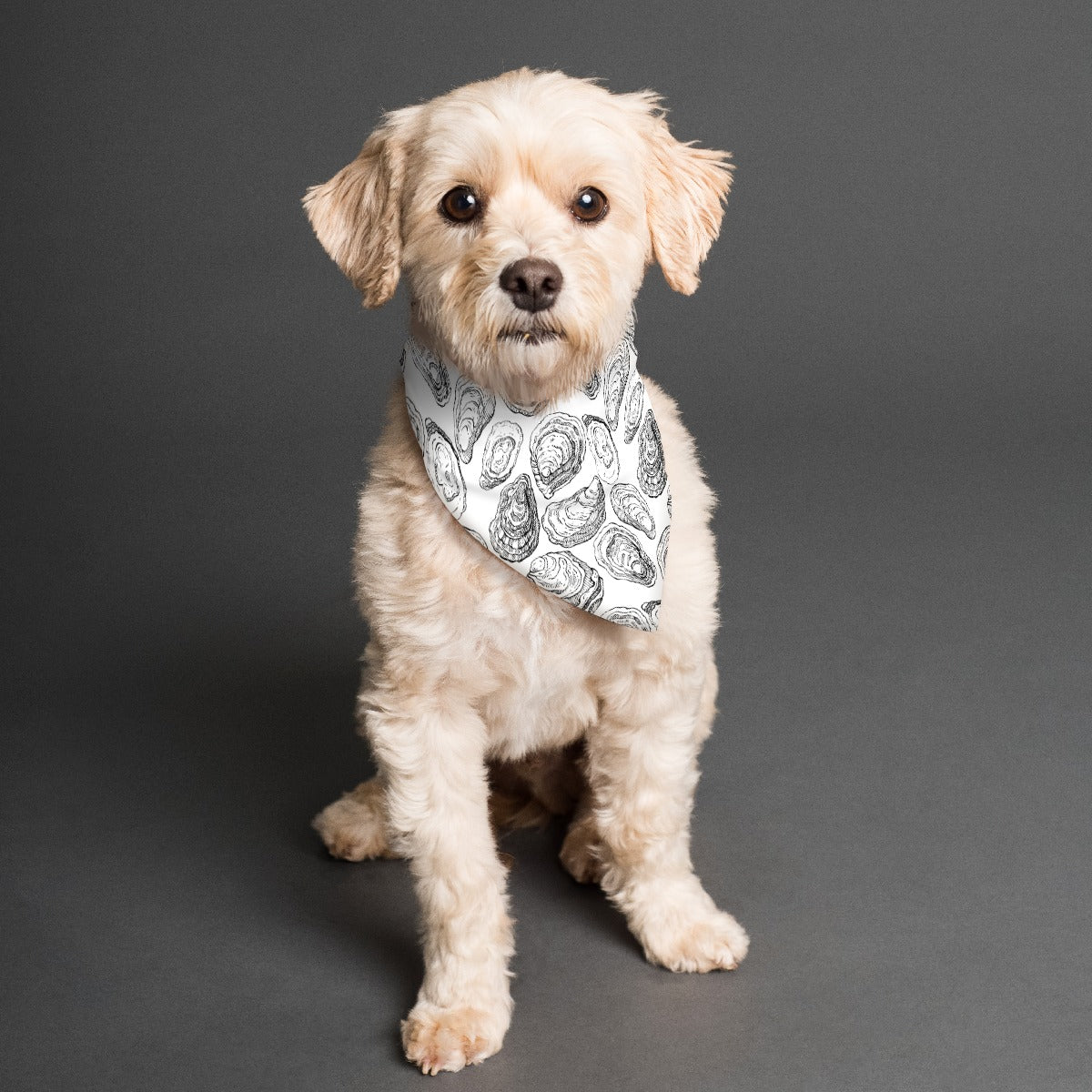 Shuck It Pet's Scarf