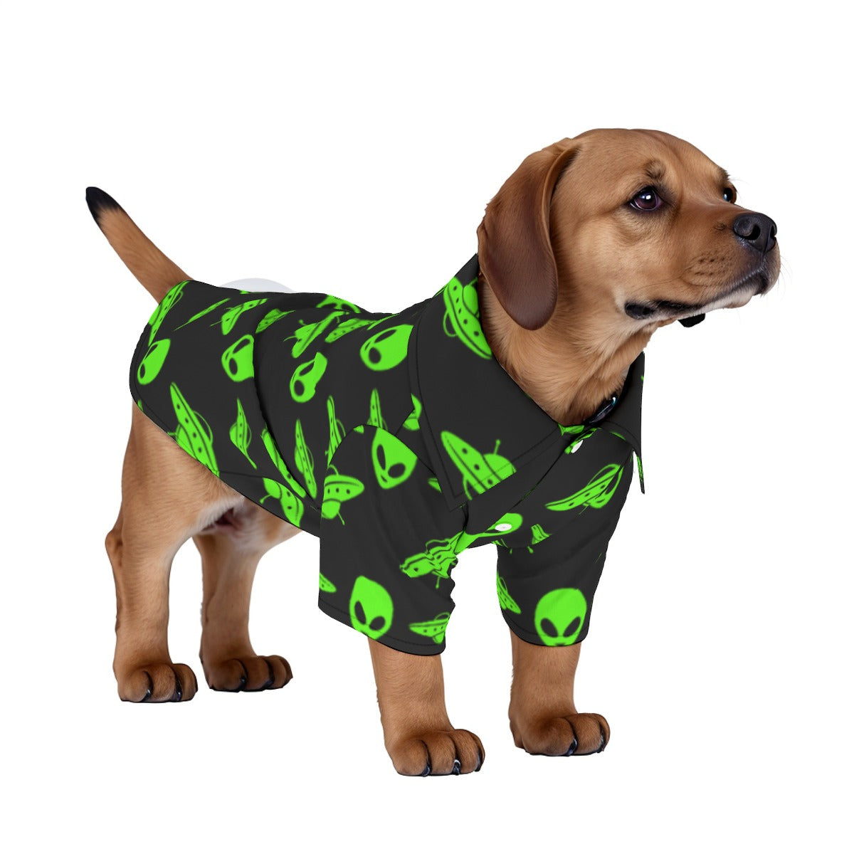Far Out Pet‘s Hawaiian Shirt