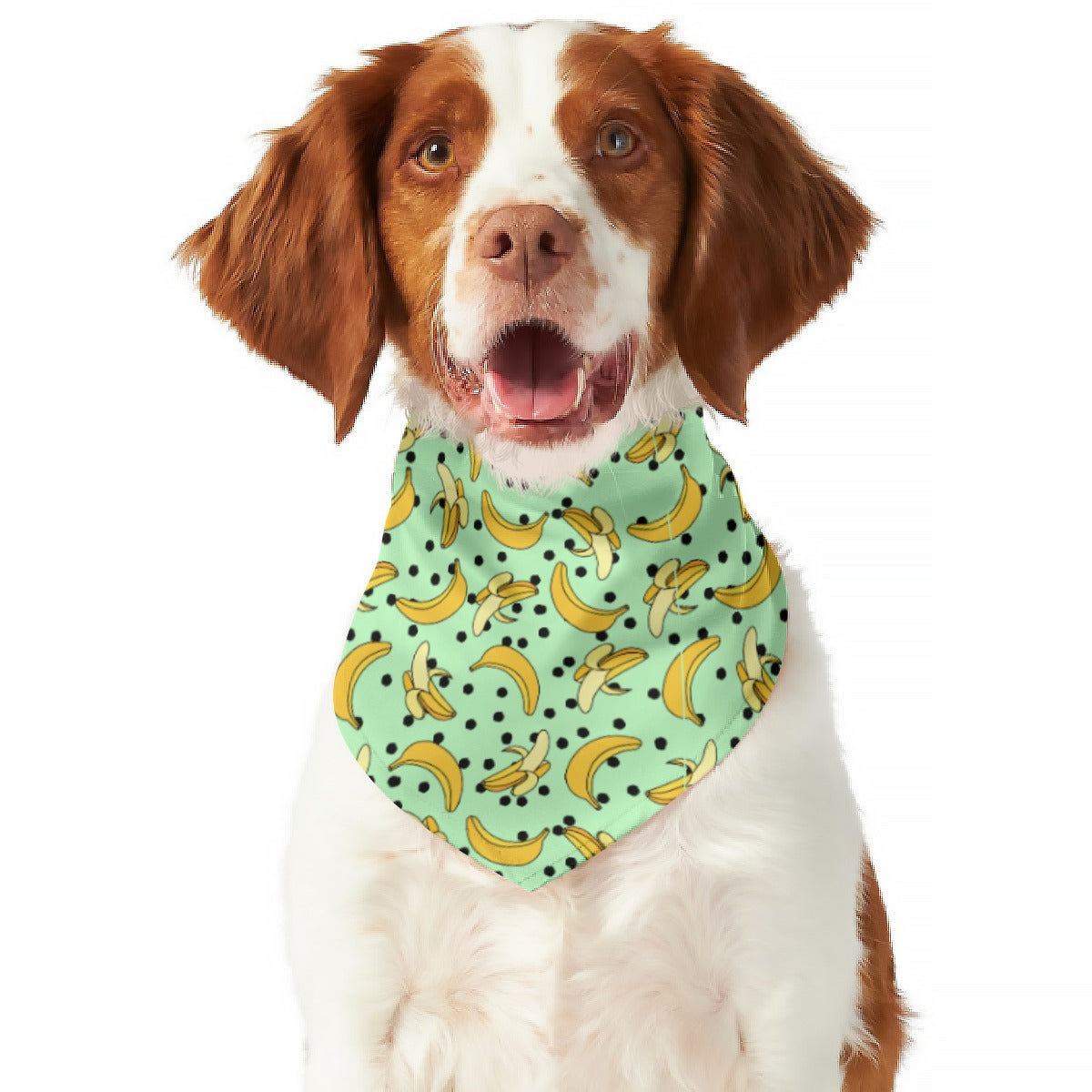Go Bananas Pet's Scarf