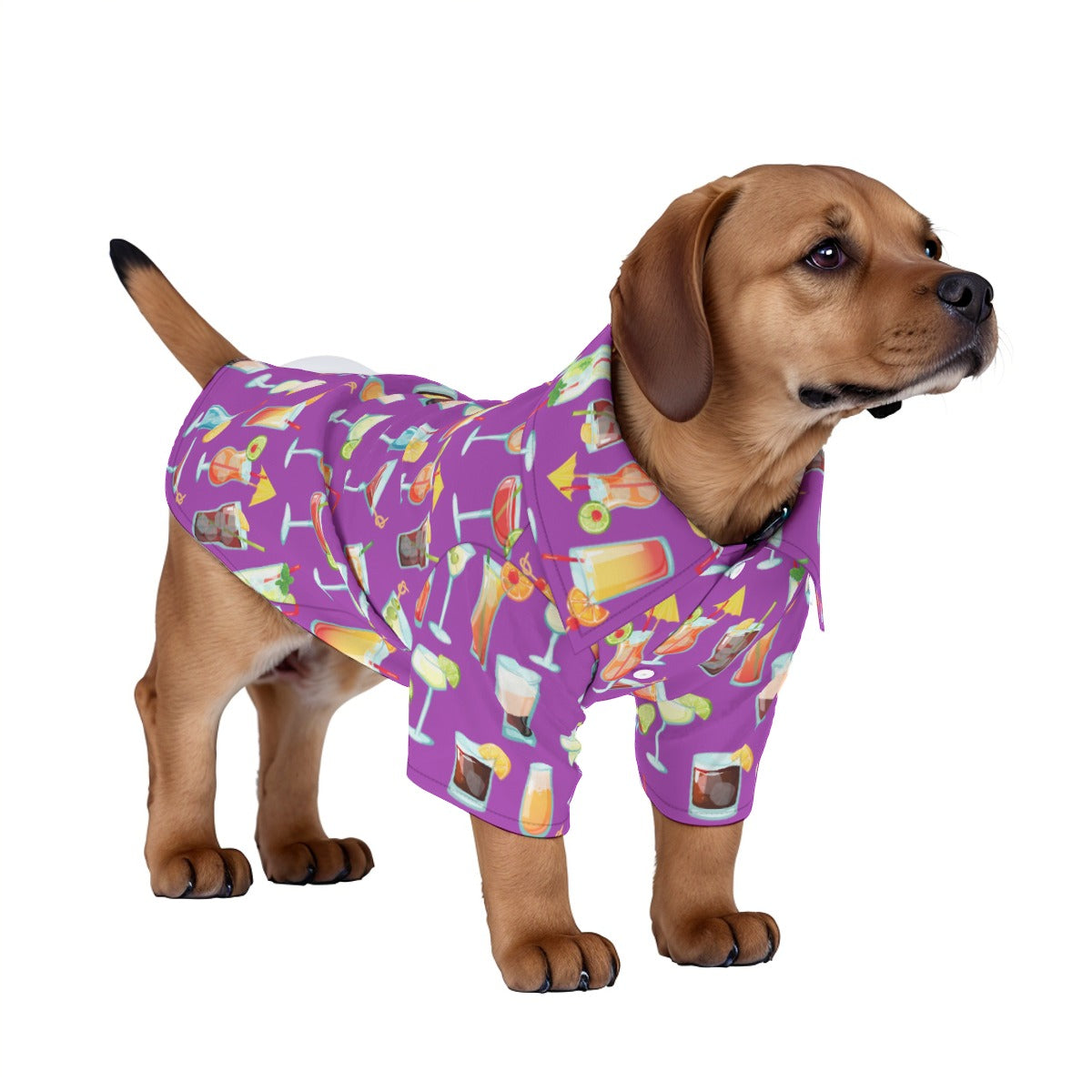 Cheers! Pet‘s Hawaiian Shirt