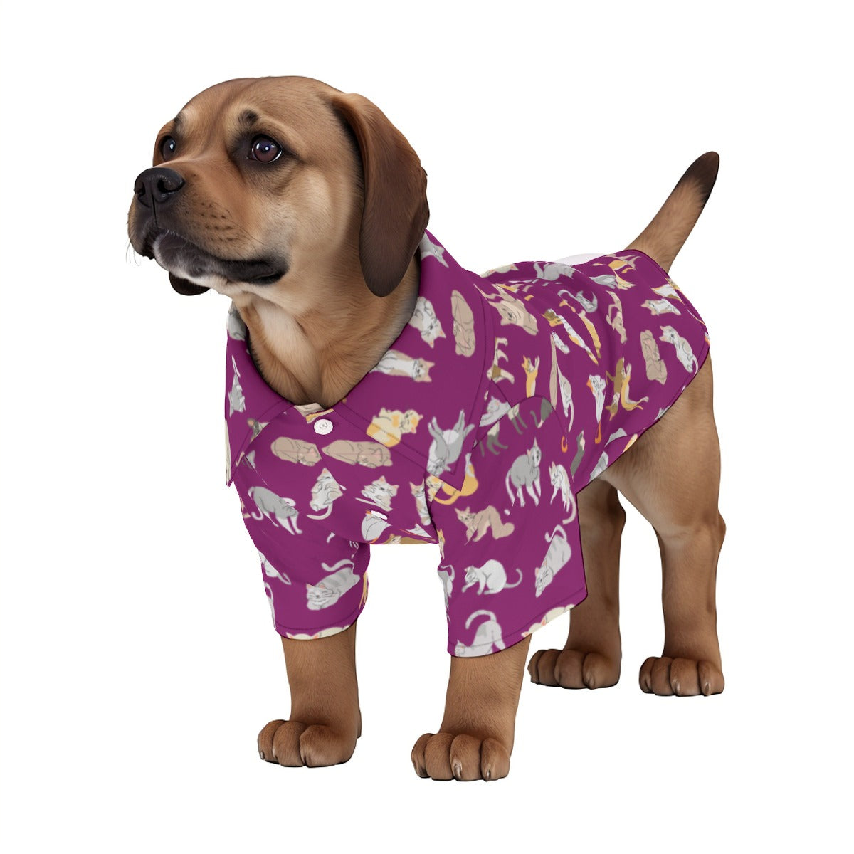 Caturday Pet‘s Hawaiian Shirt