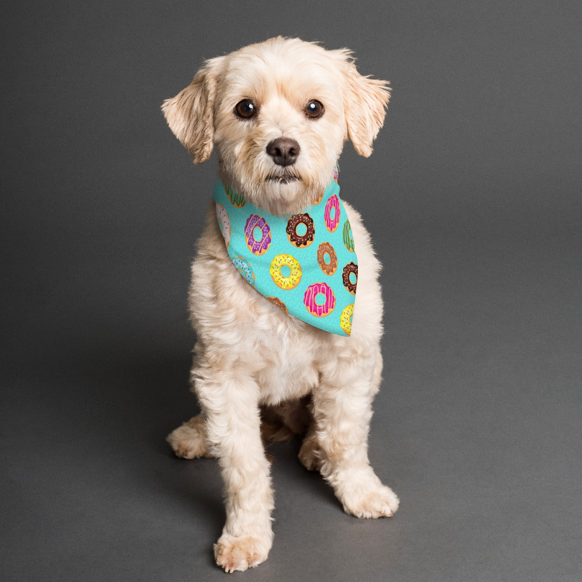 Donut Worry 'Bout It Pet's Scarf