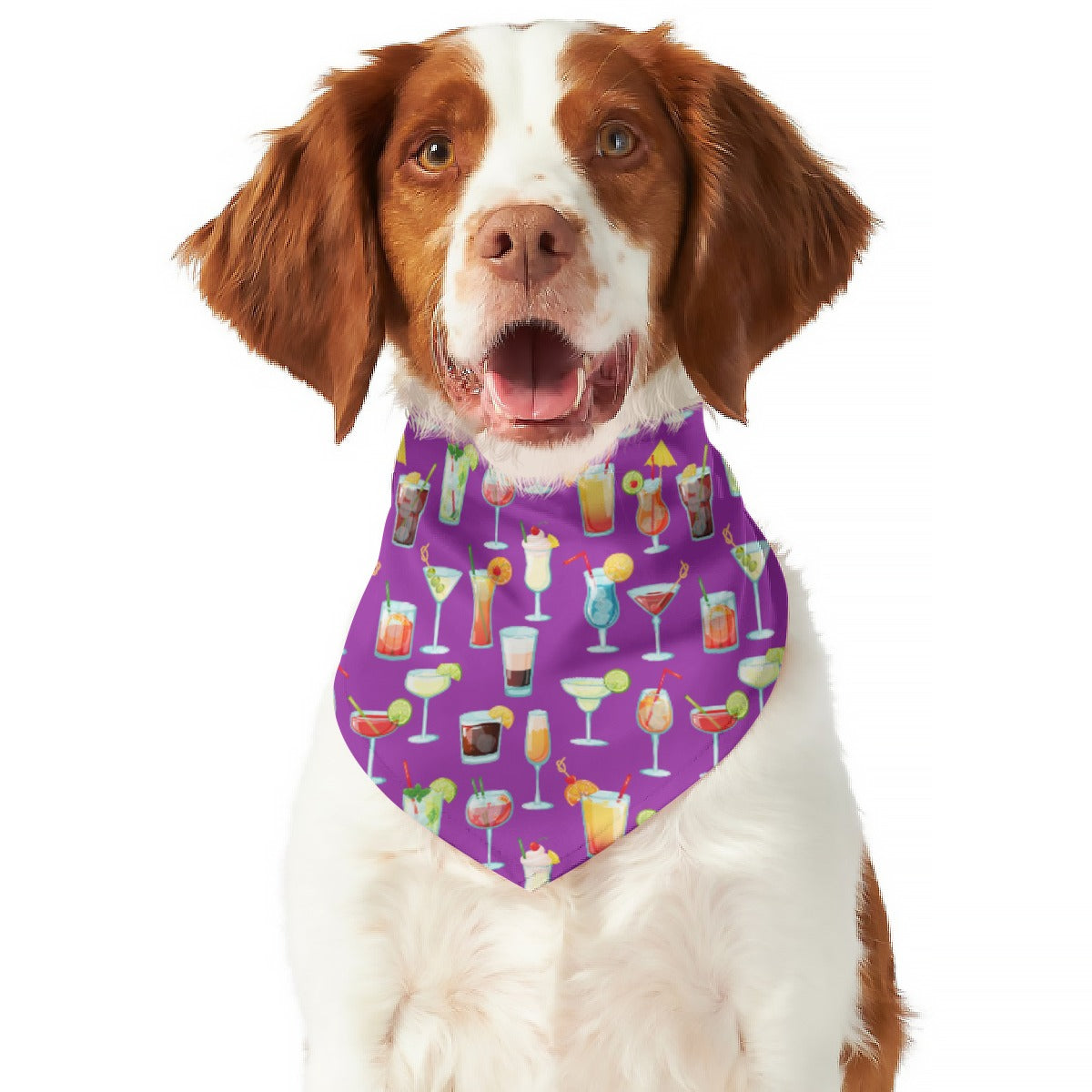 Cheers! Pet's Scarf