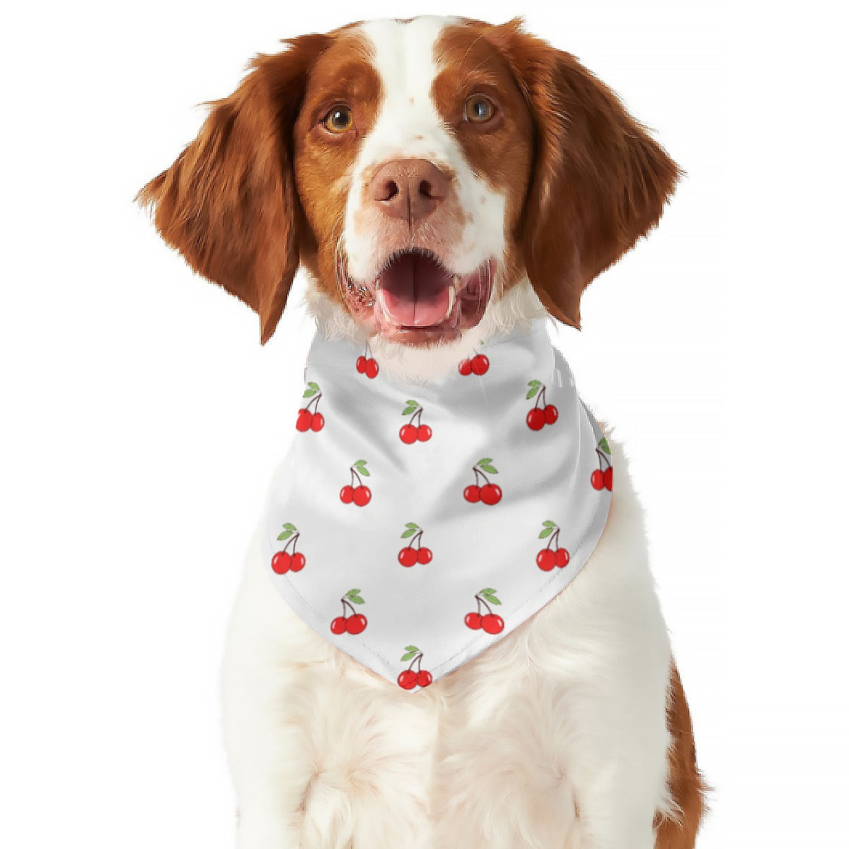 Cheery Cherry Pet's Scarf