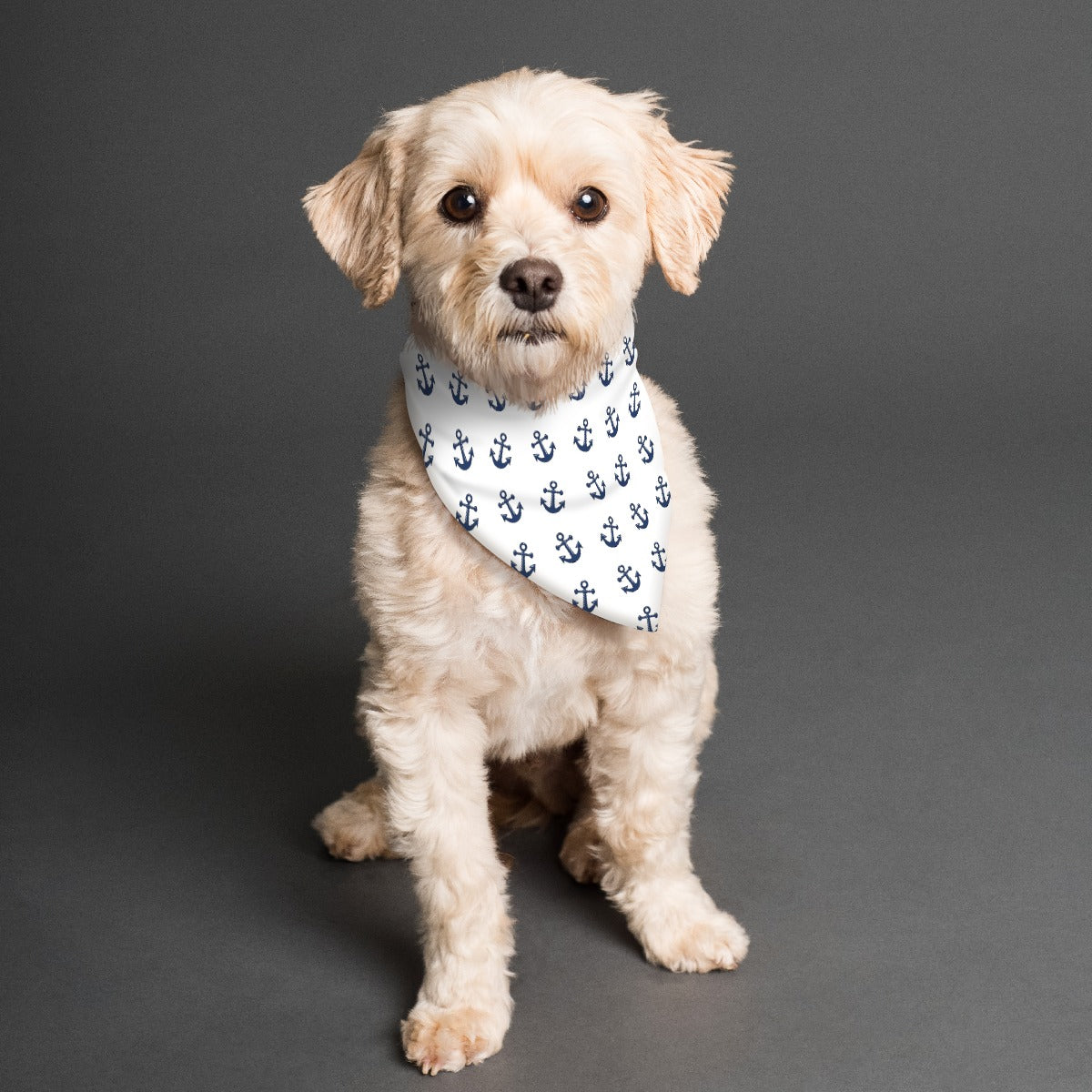 Anchors Aweigh! Pet's Scarf
