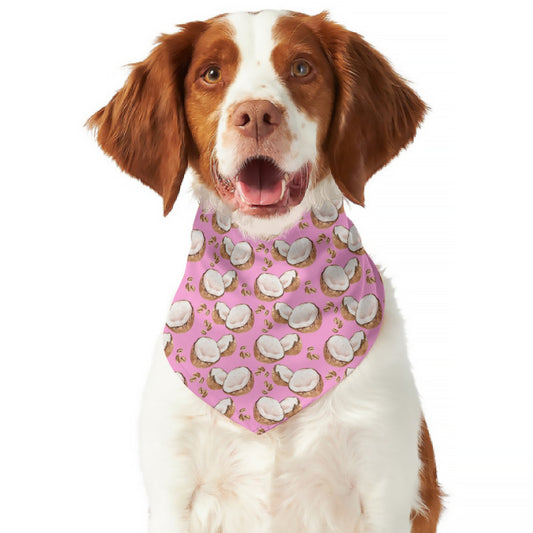 Coco-Nuts Pet's Scarf