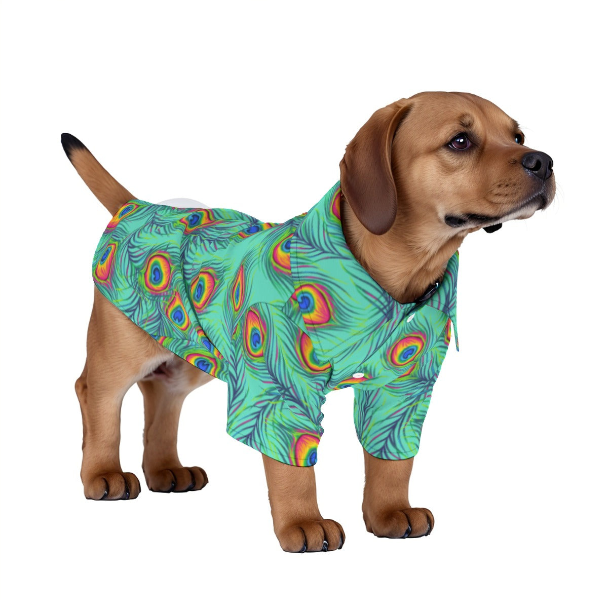 Peacocky Pet‘s Hawaiian Shirt