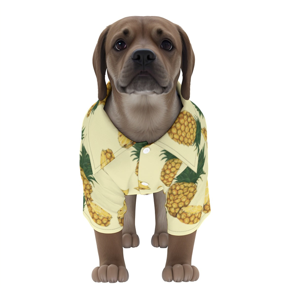 Pineapple Passion Pet‘s Hawaiian Shirt