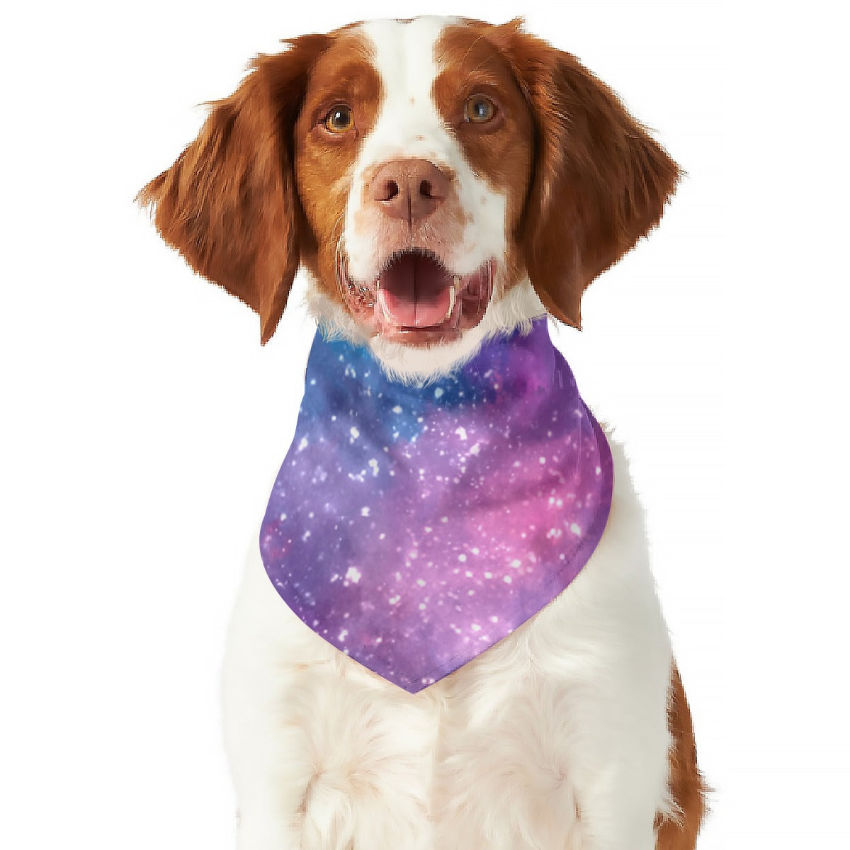 Galaxy Quest Pet's Scarf