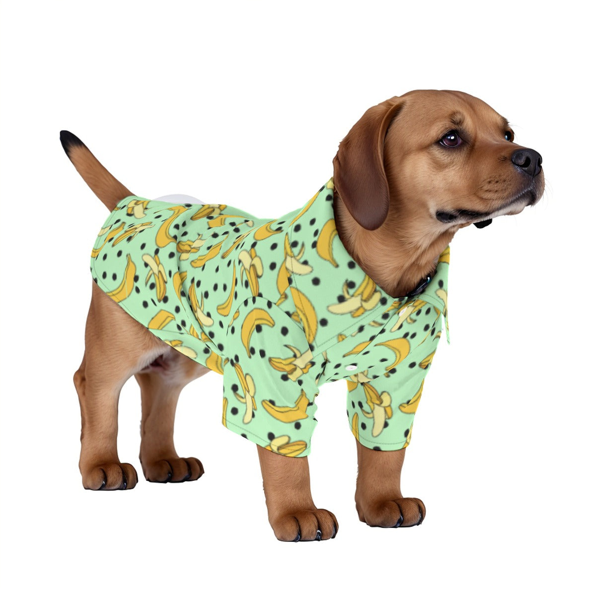 Go Bananas Pet‘s Hawaiian Shirt