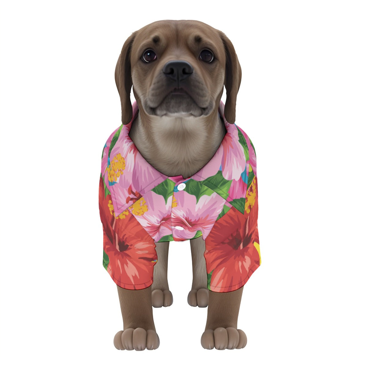 Flower Power Pet‘s Hawaiian Shirt