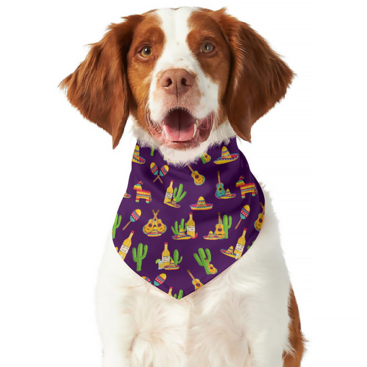 Fiesta Forever Pet's Scarf
