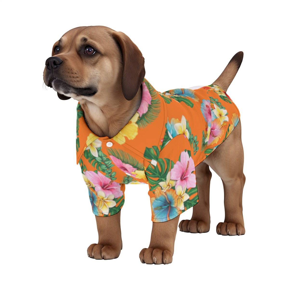 Tropicana Pet‘s Hawaiian Shirt