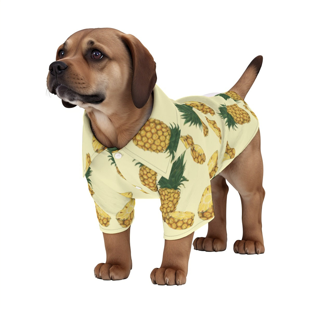 Pineapple Passion Pet‘s Hawaiian Shirt