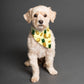 Pineapple Passion Pet's Scarf